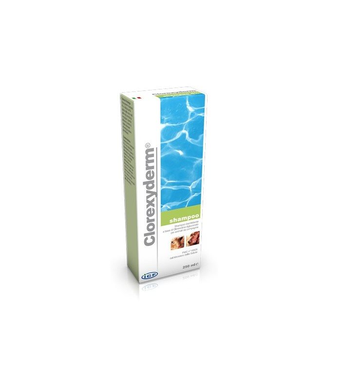 GdPharmapet | Icf clorexyderm shampoo 250 ml