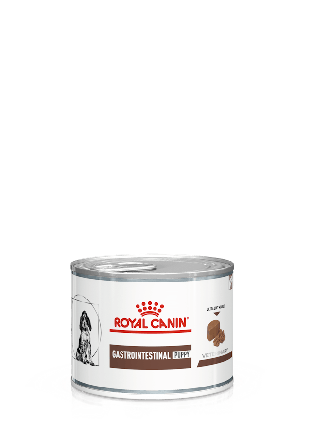 ROYAL CANIN Gastrointestinal Puppy 200 Gr