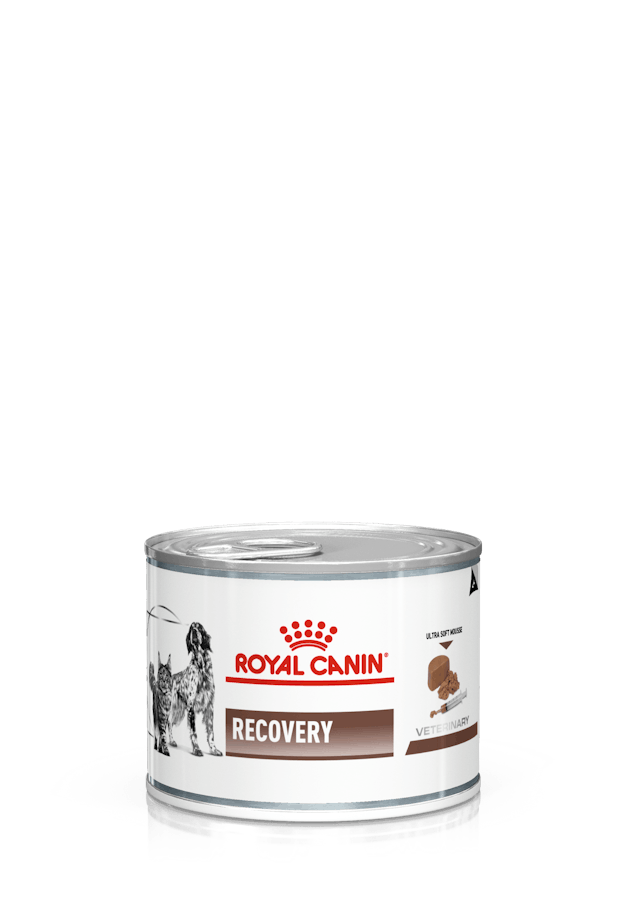 ROYAL CANIN Recovery 195 GR